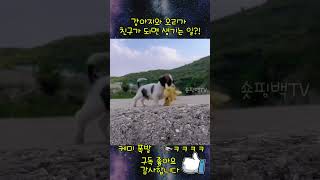 오리와 강아지의 우정 이야기!