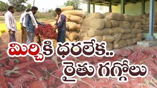 మిర్చి రైతు కంట కన్నీరు | Mirchi Price Fall Down | Tears From Farmers | With Loss Of Investment