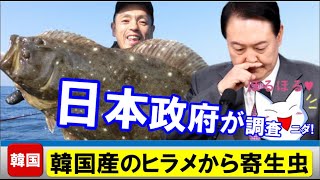 韓国産のヒラメからヤバイ寄生虫が続々発見、腹痛、下痢が続出して日本政府が調査！