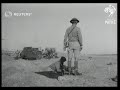 western desert war operations 1941