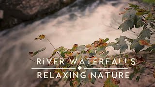 4K Forest Stream - Relaxing River Sounds - No Birds - Ultra HD Nature Video - Relax/ Sleep/ Study