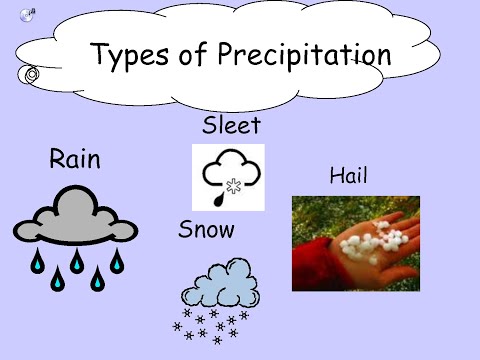 Which form of precipitation is the largest?