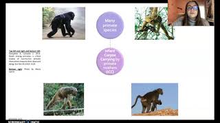 Primates’ reactions to death: why do mothers carry the corpses of their dead infants?