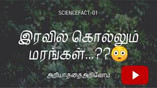 #scipediatamil #sciencefact #tamilmedium |இரவில் கொல்லும் மரங்கள்|விஞ்ஞான உண்மைகள்