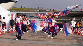 桜湖頭（2018横浜よさこい祭り・赤レンガパーク会場）