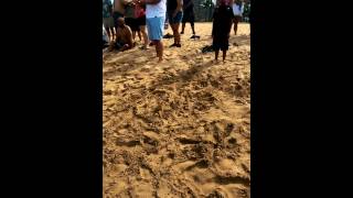 Scattering Papa's Ashes