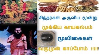 காயகல்ப மூலிகைகள் - சித்தர்கள் அருளிய காயகல்ப மூலிகைகள்-Herbals-siththarkal ulagam