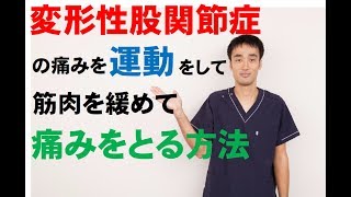 変形性股関節症の痛みを運動をして筋肉を緩める方法｜兵庫県西宮市ひこばえ整骨院・整体