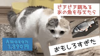 ［激ビビり］ダンシングフィッシュを与えたら、猫のリアクションが想像以上に面白い#shorts