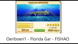 Oeriboeri1 - FLORIDA GAR (5★) - FISHAO