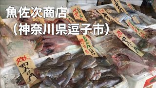 【逗子/Zushi】魚佐次商店/Uosazisyoten（魚屋/Fish Store）