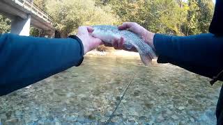 Part four fly fishing Sava Bohinjka   Realizzato con Clipchamp