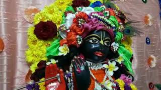 Shatatila Ekadashi 😍shingar Darshan iskcon bhusawal