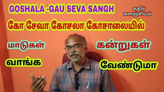 கோ சேவா கோசலா கோசாலை ஈரோடு மாடுகள் கன்றுகள் வாங்க என்ன வேண்டும்#GOSHALA-GAUSEVASANGHERODE#cattlefarm