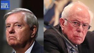 Bernie Sanders to Lindsey Graham: "BRING IT ON"