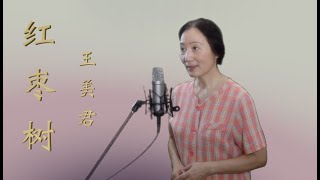 《红枣树》王美君 女高音 red jujube tree