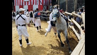 おまんと祭り