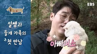 [펫다이어리/세나개] 설쌤과 들개 가족의 첫만남