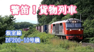 貨物列車（2075レ）を牽引する赤熊（JR貨物DF200 10号機）が汽笛を鳴らして平原に消えていった　根室線。