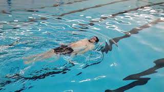 Lamar Aquatics 4-6 Elementary Backstroke