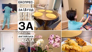 💫ЕКСПРЕС-прибирання за 1,5 год🧹🌸секрети догляду за ОРХІДЕЯМИ| школа  англійської| тушкую капусту