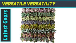 Shop Succulents 100-Pack: Ultimate Succulent Haul!