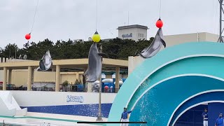 【4K HDR】Kamogawa SeaWorld dolphin Full Show (Jan.2021)