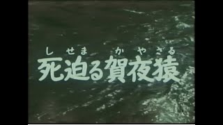 隠密剣士 第十回 死迫る賀夜猿