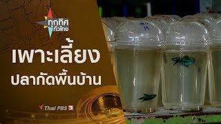 ทุกทิศทั่วไทย : ประเด็นข่าว (30 ก.ย. 62)