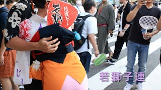 若獅子連 とっておき！ 阿波おどり  #Awaodori