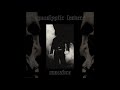 apocalyptic leaders macabre full album 2021