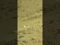 Perseverance Rover Sol 1233 | Mars New 4k Video | Mars 4k Video | Mars In 4k | Mars #shorts