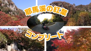 一目八景、渓石園など耶馬溪の紅葉はこれでコンプリート！