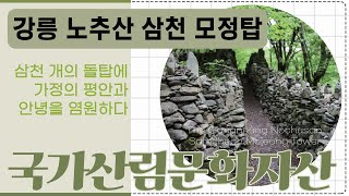 [#국가산림문화자산] 강릉 노추산 삼천 모정탑