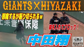 【ポール間走】中田翔　大城卓三の邪魔するが振り切られるｗ　また抜かれそうになると体を入れてブロック！！【巨人　宮崎春季キャンプ　第２クール最終日】読売ジャイアンツ　2023.2.9プロ野球ニュース