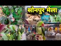 Sonpur Mela 2024 || सोनपुर मेला चिड़िया बाजार | Birds Market Market Sonpur | Bihar Sonpur Mela