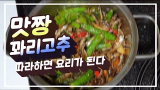 꽈리고추볶음 황금레시피.  꼭 만들어보세요~ 맛도 색도 살아 있어요