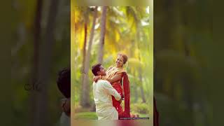 செந்தூர பாண்டிக்கு ஒரு ஜோடி கிளி ஜோடி கிளி ❣️💗💖💖