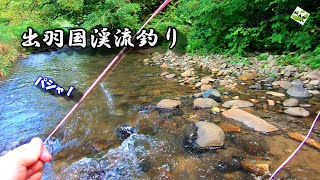 【山女魚の季節！】赤川漁協管内を訪問！山形渓流釣り