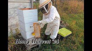 Harvesting Honey in December?!?