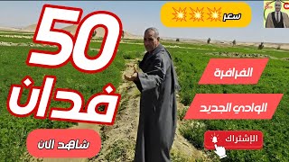 50 فدان بقرية النهضة مركز الفرافرة الوادي الجديد 💥 للبيع 01552090530