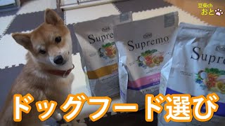 豆柴はドッグフード「シュプレモ」でこんなに成長しました💗柴犬shibainu🐶