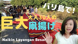 【バリ島】大人が必死　大凧の音Suara layangan besar【Bali 4】