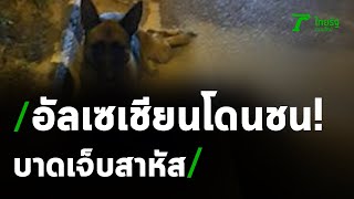พบแล้วเจ้าของสุนัขโดนรถชน | 27-07-63 | ข่าวเย็นไทยรัฐ