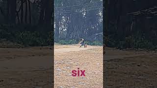 #Kashif #cricket #lover#vairal #video# Lek #six #gajab #shot 🏏🏏🏏🏏🏏🏏🏏🏏🏏🏏🏏🏏🏏💯💯💯👑😱🥰