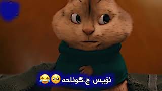 NeUu edit🥺😂سێ سمۆرەی هونەرمەند the chipmunks