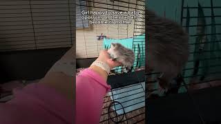 Rescue a baby opossum #animalshorts #shortvideo #animalrescue