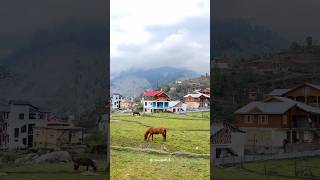 Explore Bhaderwah Valley this summer with @yougeshmanhas #bhaderwah