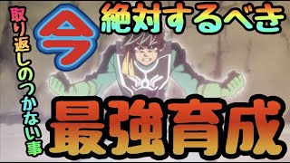 【ダイの大冒険 魂の絆】後悔する前に絶対して！絶対差をつける今やるべき最強育成　取り返しがつかなくなる事【タマキズ　ダイ大　アプリ】