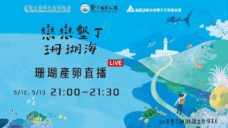 【直播完整版】戀戀墾丁珊瑚海 珊瑚產卵直播DAY1 5/12｜三立新聞網 SETN.com｜三立新聞網 SETN.com